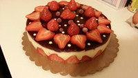 /album/galerie-photos/fraisier-8-jpg/